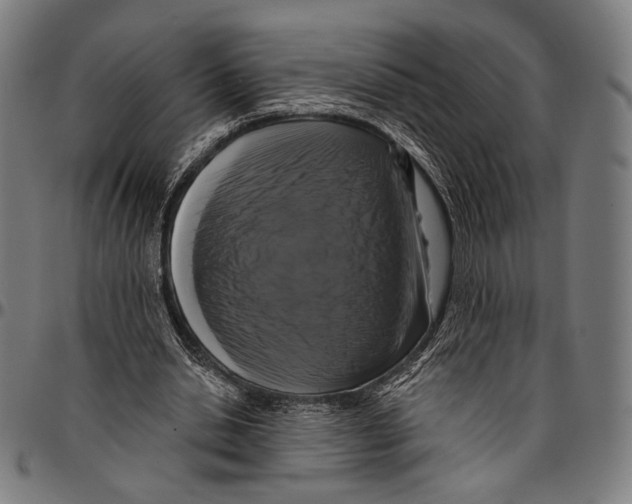 X0000095110438200801041204