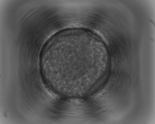 X0000095110439200801041204