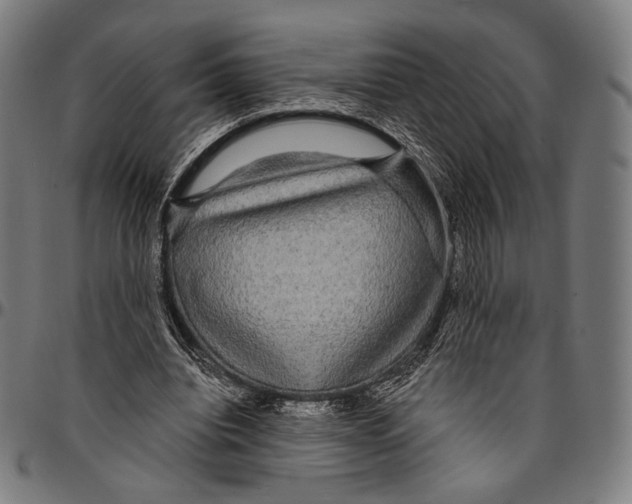 X0000095110440200801041204