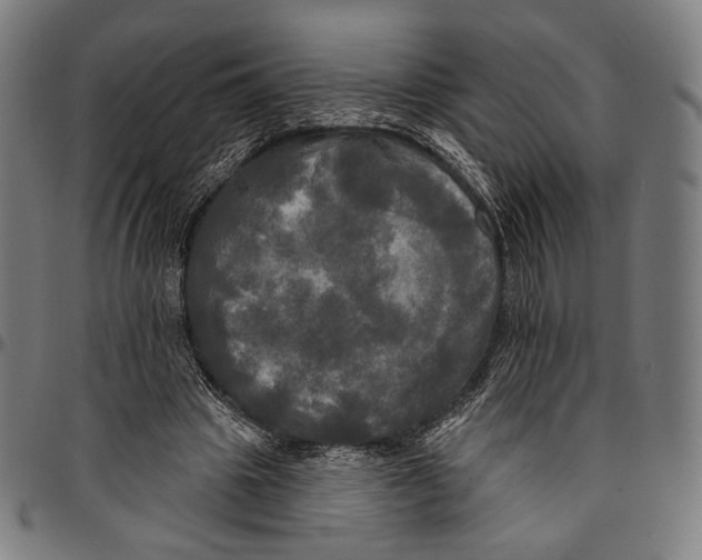 X0000095110441200801041204