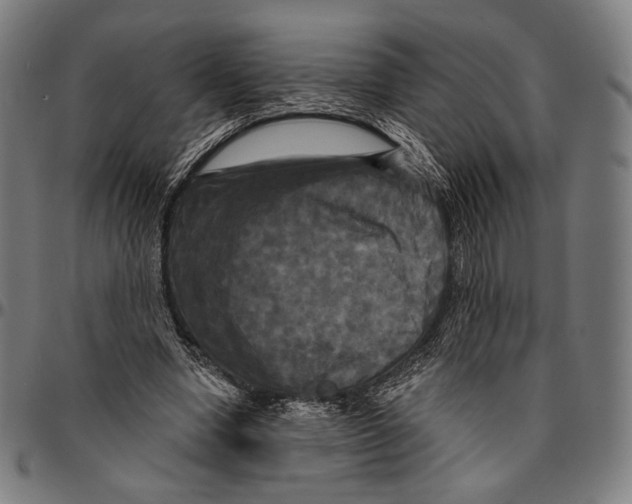 X0000095110442200801041204