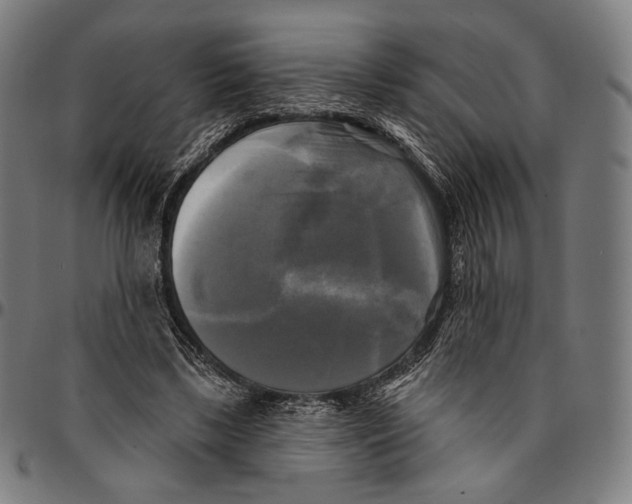 X0000095110443200801041204