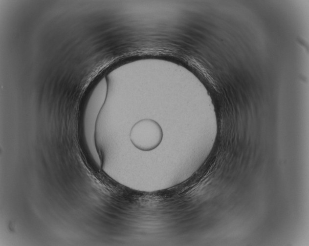 X0000095110444200801041204