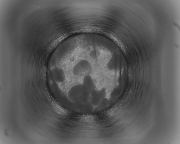 X0000095110445200801041204