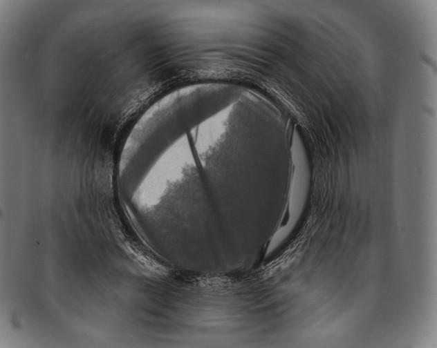 X0000095110446200801041204