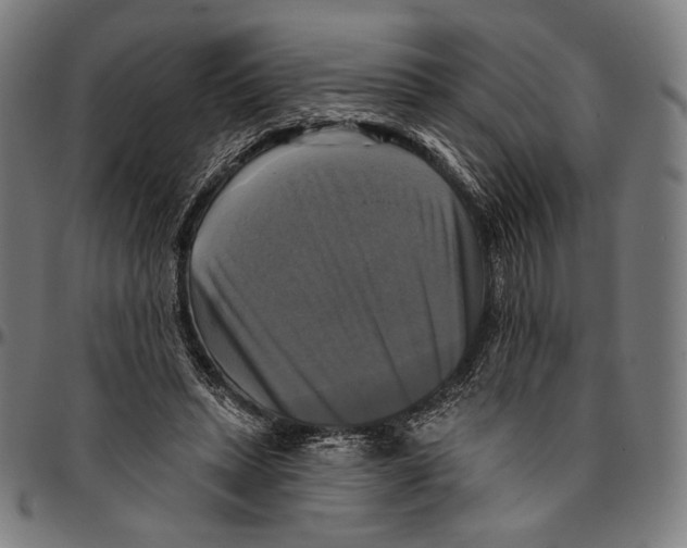 X0000095110447200801041204