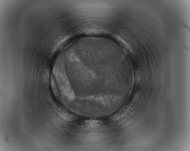 X0000095110448200801041204