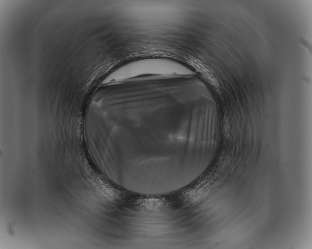 X0000095110449200801041204