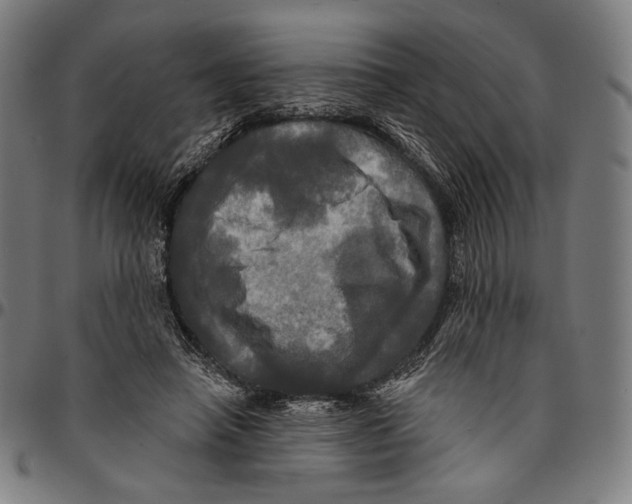 X0000095110450200801041204