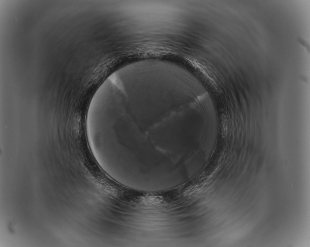 X0000095110451200801041204