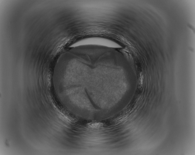 X0000095110452200801041204