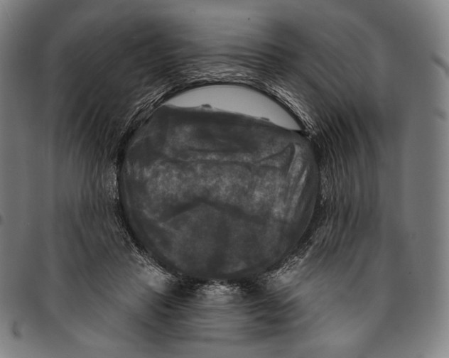 X0000095110453200801041204