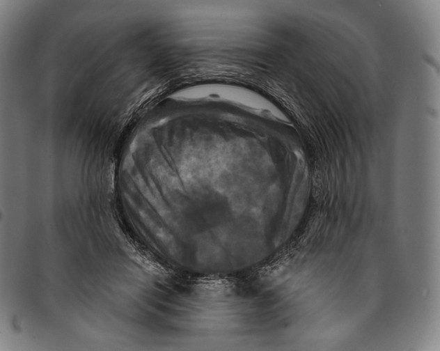 X0000095110454200801041204