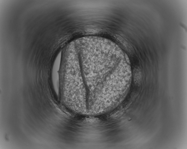 X0000095110455200801041204