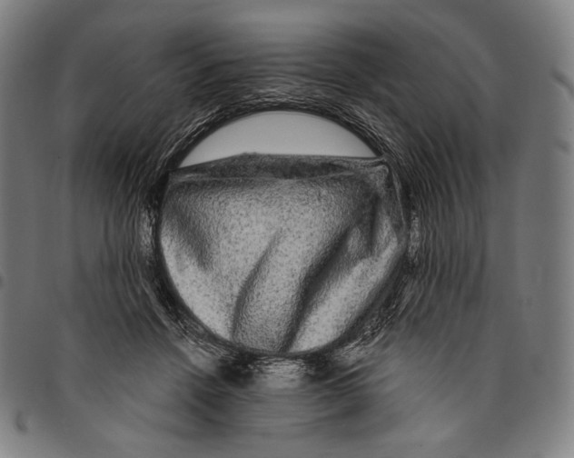 X0000095110456200801041204