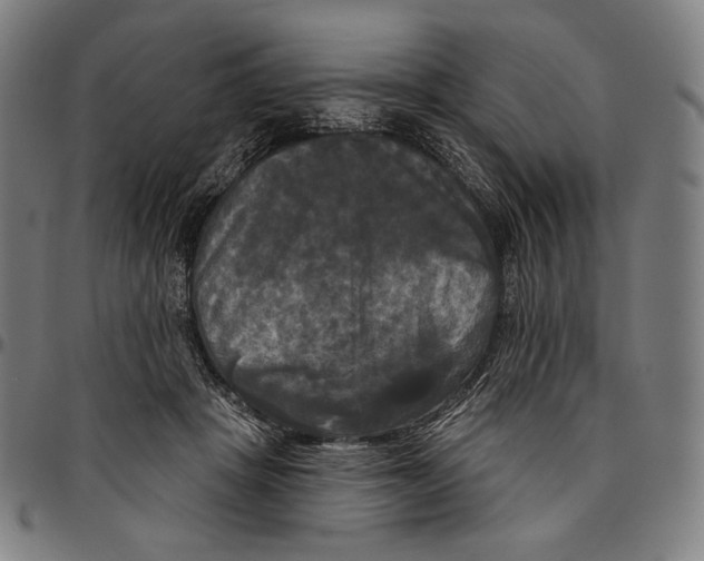 X0000095110457200801041204