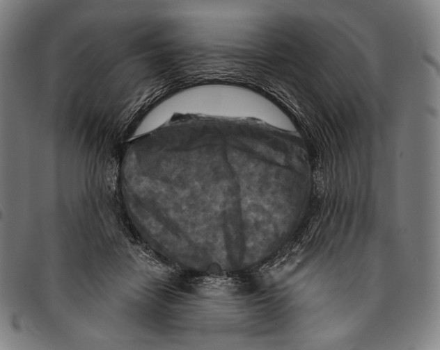 X0000095110458200801041204
