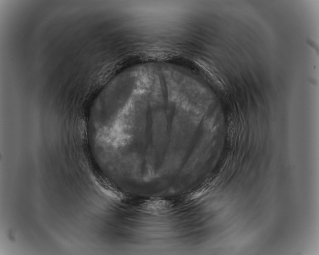 X0000095110459200801041204