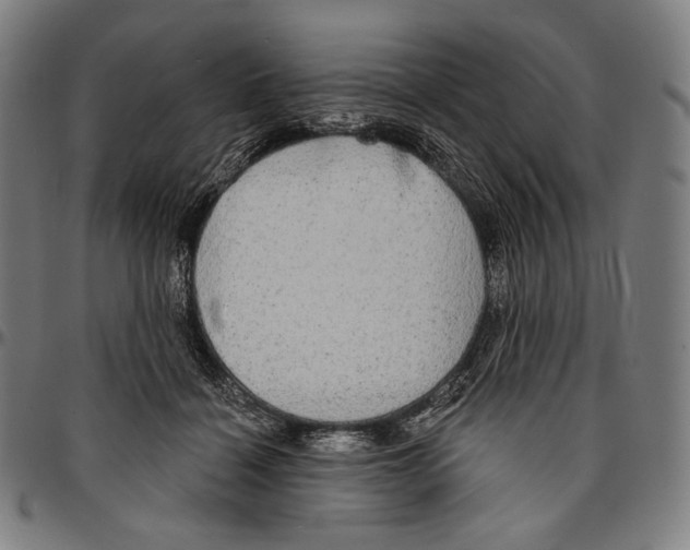 X0000095110460200801041204
