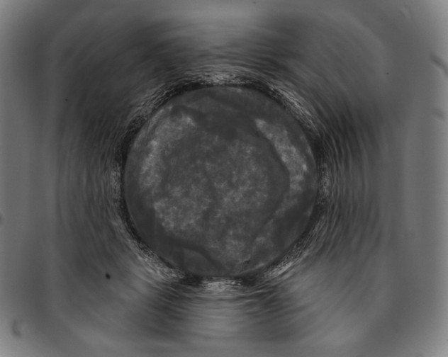 X0000095110461200801041204