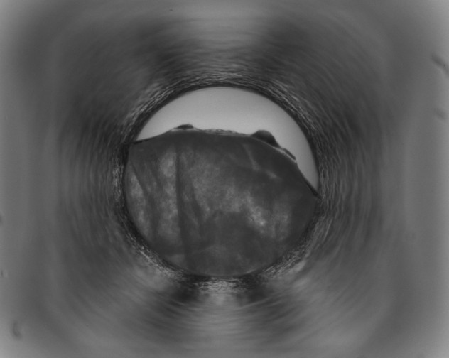 X0000095110462200801041204