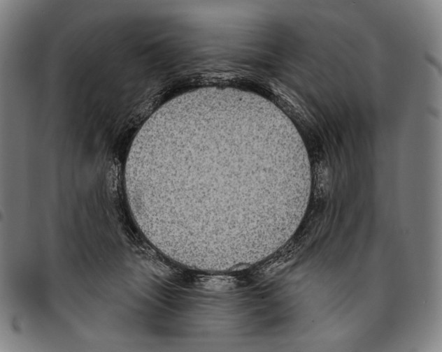 X0000095110463200801041204