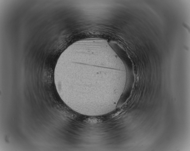X0000095110464200801041204