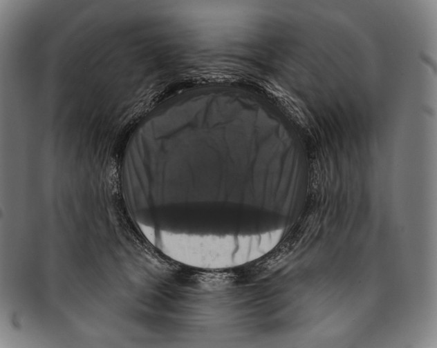 X0000095110465200801041204