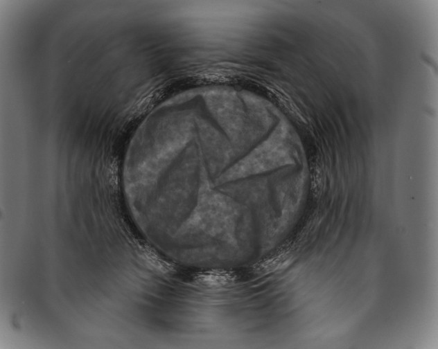 X0000095110466200801041204