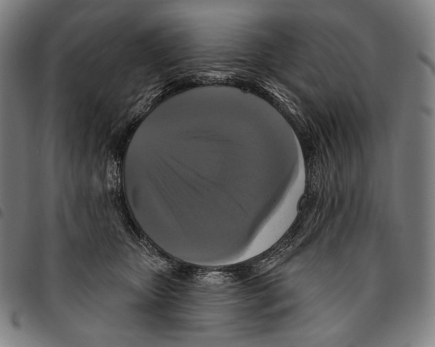 X0000095110467200801041204