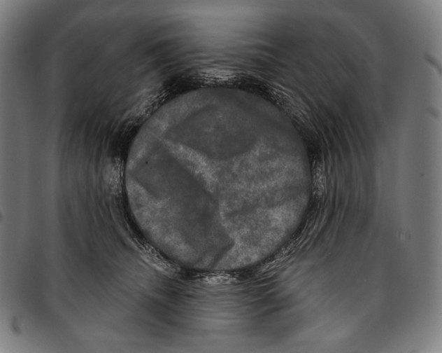 X0000095110468200801041204