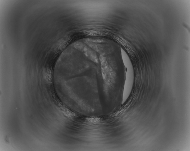 X0000095110469200801041204