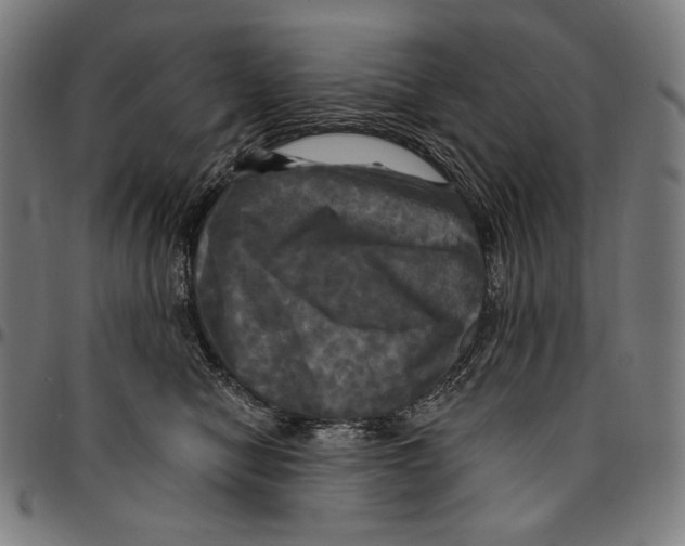 X0000095110470200801041204