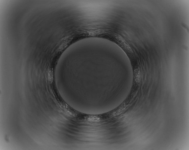 X0000095110471200801041204