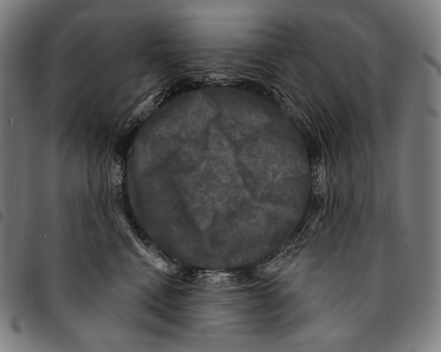 X0000095110472200801041204