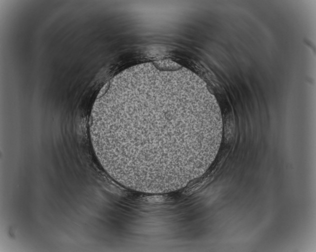 X0000095110473200801041204