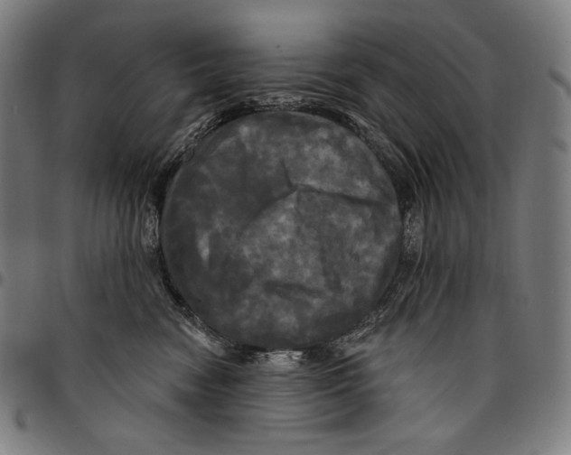 X0000095110474200801041204