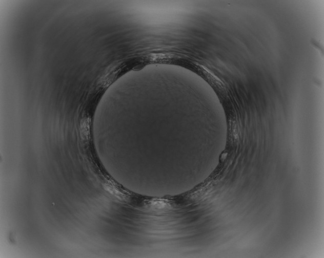 X0000095110475200801041204