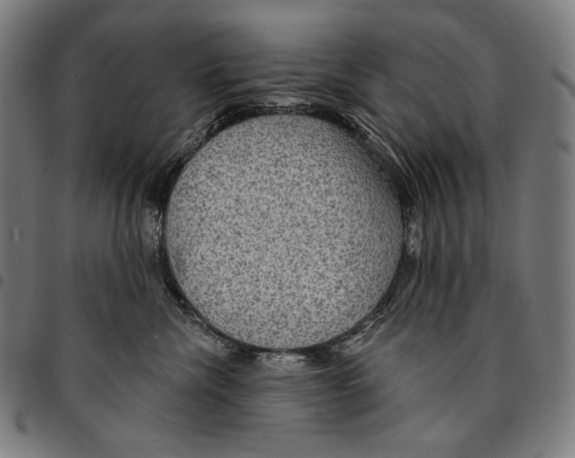 X0000095110476200801041204