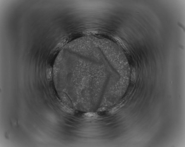 X0000095110477200801041204