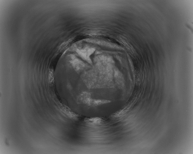 X0000095110478200801041204