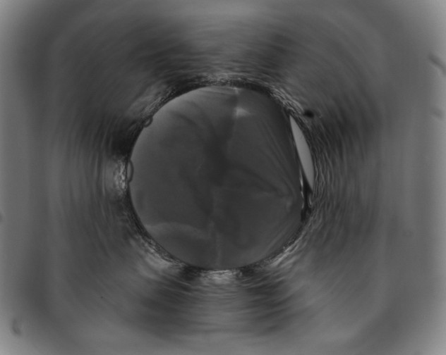 X0000095110479200801041204