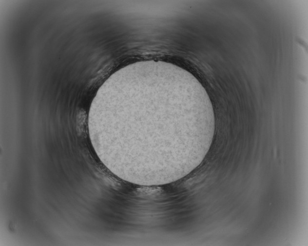 X0000095110480200801041204