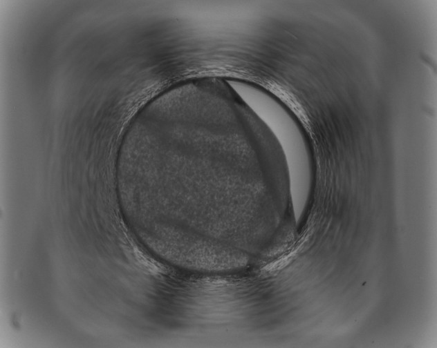 X0000095110481200801041204