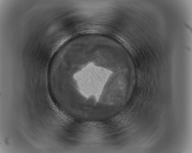 X0000095110482200801041204