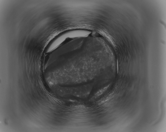 X0000095110483200801041204