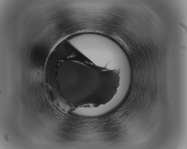 X0000095110484200801041204