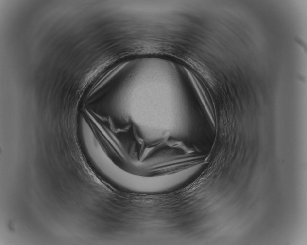 X0000095110485200801041203