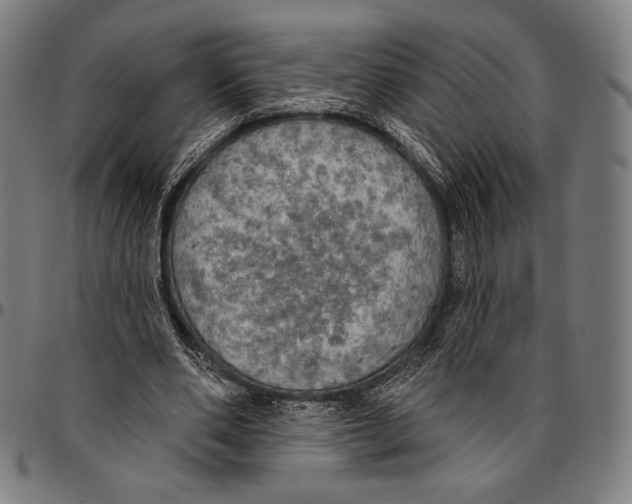 X0000095110486200801041203
