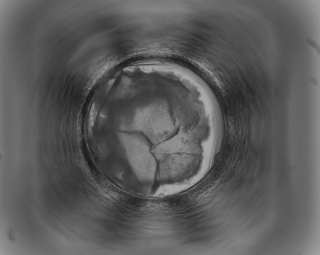 X0000095110487200801041203